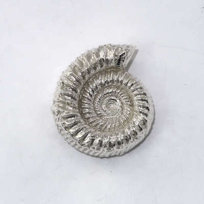 Top Ammonite Silver